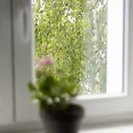 Paní Poštmistrové Appartamento Loučná nad Desnou