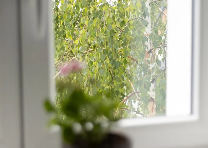 Pani Postmistrove Lejlighed Loučná nad Desnou